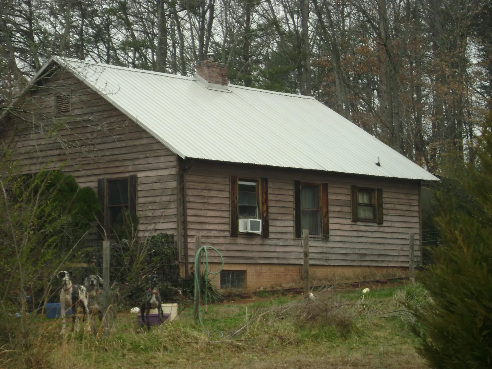 White metal roof on an old wood sided farmhouse, from a Asphalt Shingle Roof Repair job in Yellow Spring